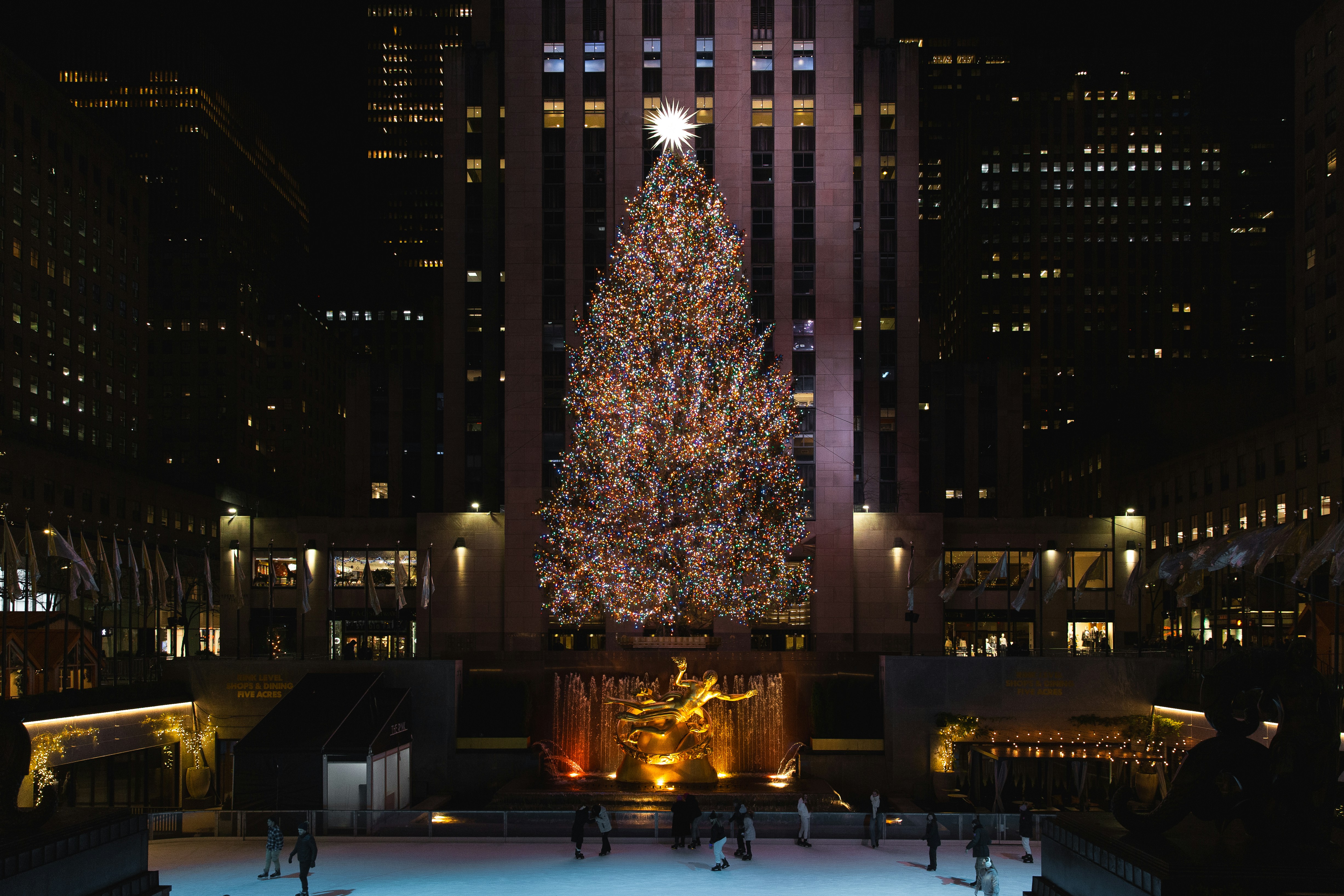 The Rockefeller Center Christmas tree at night, eighty feet of Norway spruce wrapped in fifty thousand lights